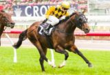 Gracious Prospect winning the Primacy Handicap at Flemington ridden by Katelyn Mallyon and trained by David Hayes - (photo by Steven Dowden/Race Horse Photos Australia)