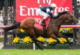 Green Moon winning the Emirates 2012 Melbourne Cup at Flemington - photo by Race Horse Photos Australia (Steven Dowden)