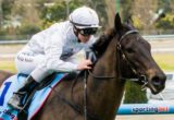Gregers winning the Race 2 at Moonee Valley - photo by Race Horse Photos Australia