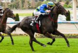 Gregers winning the Mitchelton Wines Plate at Moonee Valley - photo by Race Horse Photos Australia