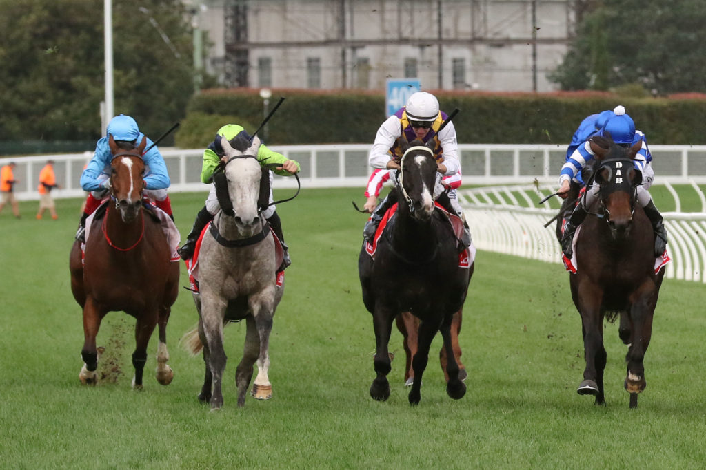 Grey Street_29-04-2017_WIN_Caulfield_7__964 | Just Horse Racing