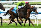 Griante winning the The Chase Hotel Handicap at Caulfield ridden by Luke Currie and trained by David Brideoake & David Feek - (photo by Steven Dowden/Race Horse Photos Australia)