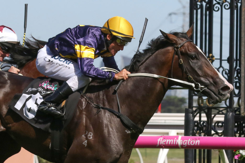 Grunt,CS Hayes Stakes,Group 3_17-02-2018_WIN_Flemington_7__1392 | Just Horse Racing