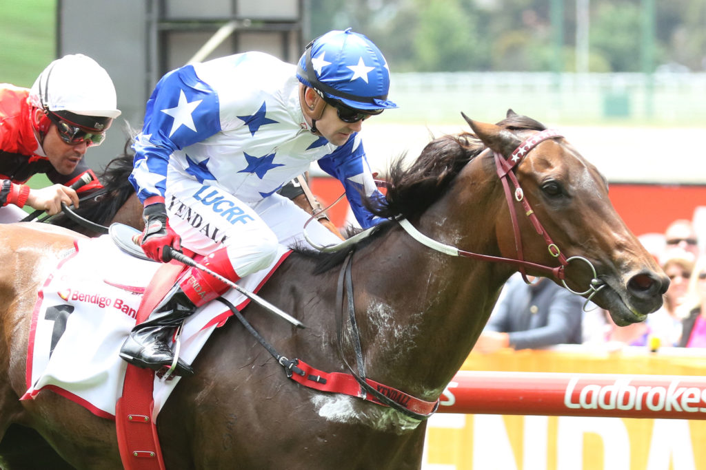 Gun Case_28-10-2017_WIN_Moonee Valley_2__395 | Just Horse Racing