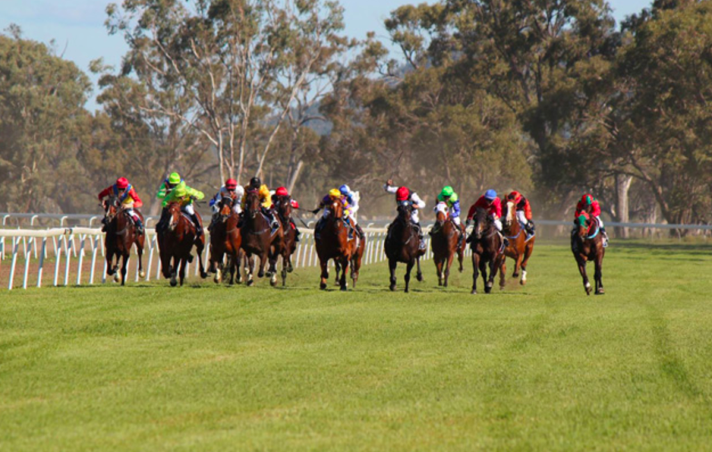 7/12/2024 Horse Racing Tips and Best Bets – Gunnedah