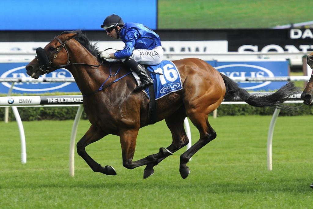 Happy Clapper | Just Horse Racing Happy Clapper