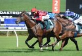 Hallowed Crown - Randwick Guineas 2015