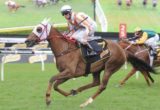 Hana's Goal, All Aged Stakes - Photo by Steve Hart