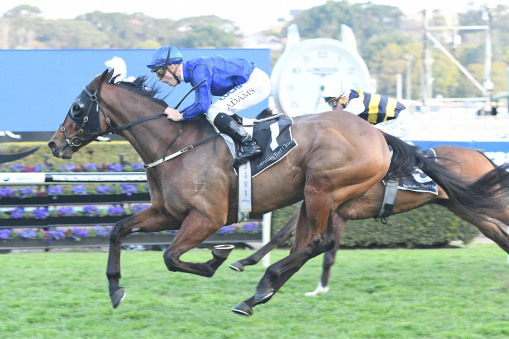 Happy Clapper 020917 5248 | Just Horse Racing