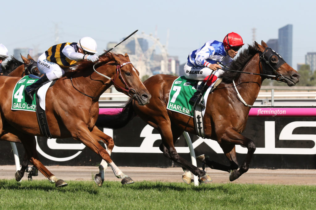 Harlem,Australian Cup,Group 1_10-03-2018_WIN_Flemington_8__2067 | Just Horse Racing