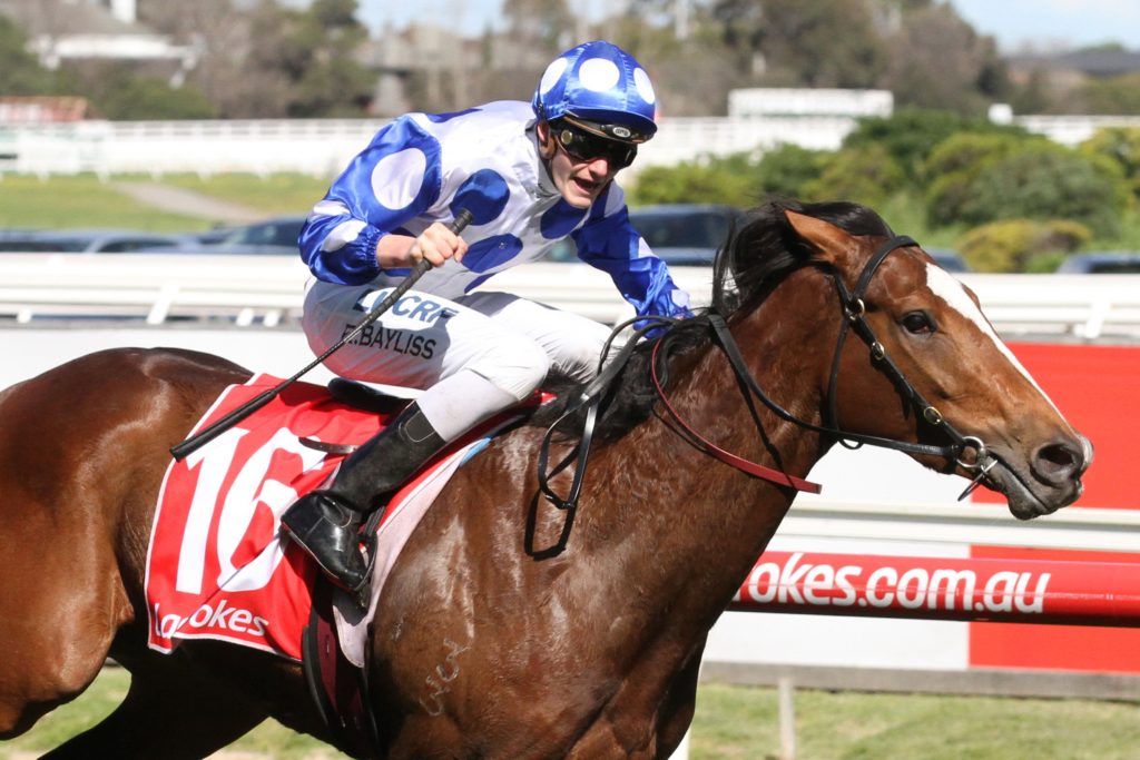 harlow-gold_17-09-2016_win_caulfield_5__528 | Just Horse Racing