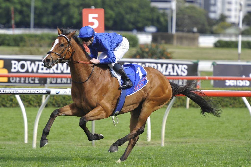 Hartnell 170916 4451 | Just Horse Racing