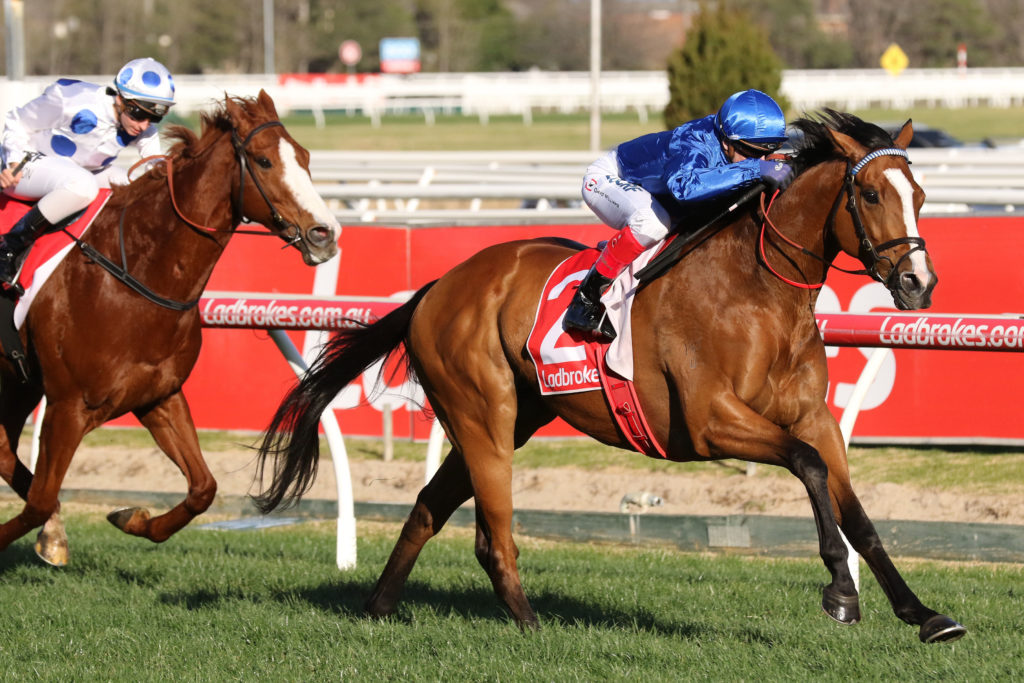 Hartnell,PB Lawrence Stakes,Group 2_19-08-2017_WIN_Caulfield_7__920 | Just Horse Racing