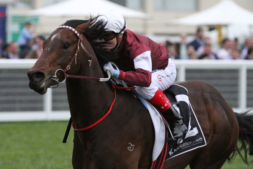 Hellbent_24-09-2016_WIN_Caulfield_9__1353 | Just Horse Racing