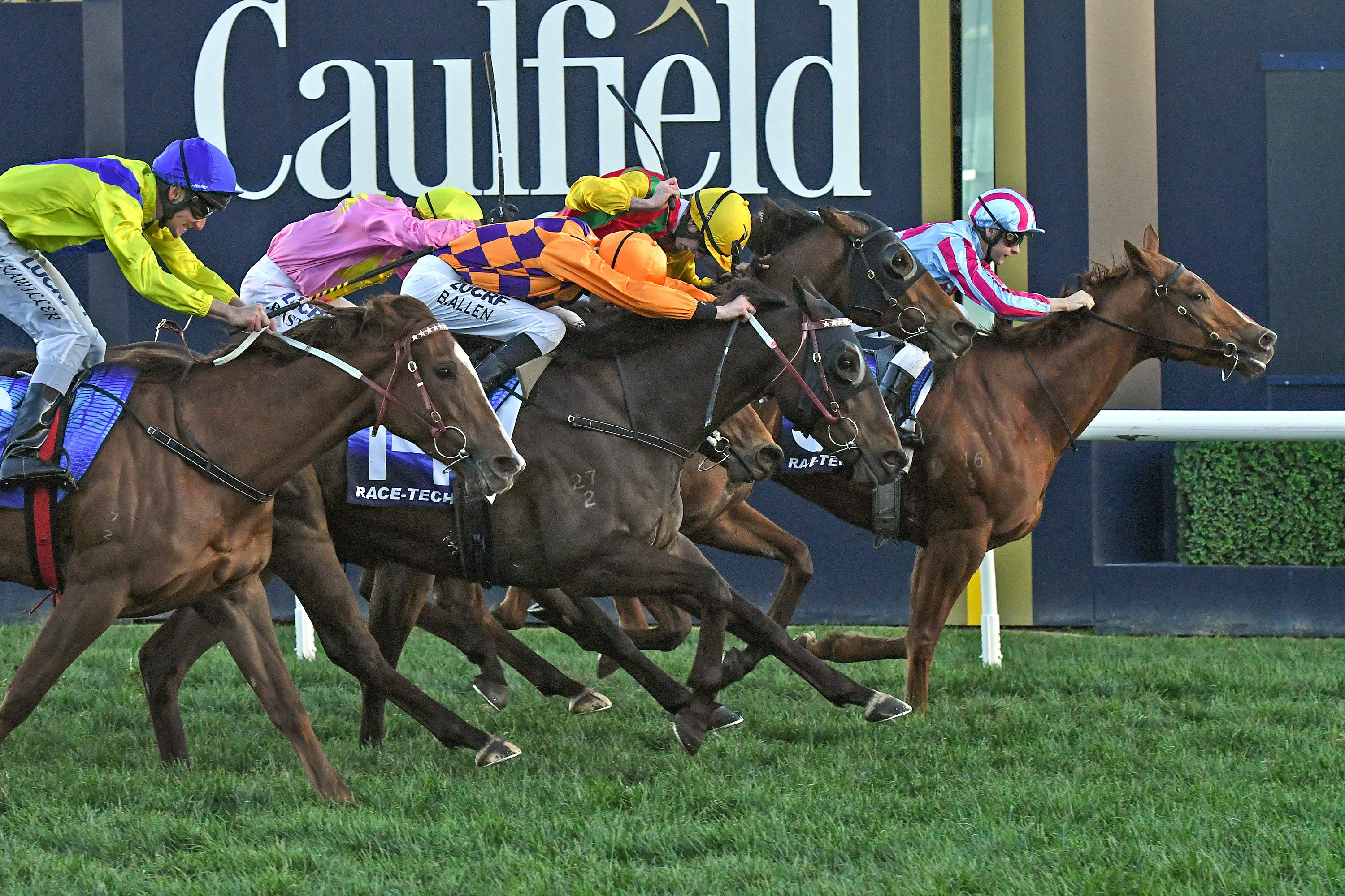 Caulfield win gives apprentice huge buzz | Just Horse Racing