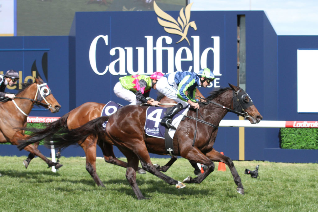 He's Our Rokkii_27-08-2016_WIN_Caulfield_2__401 | Just Horse Racing
