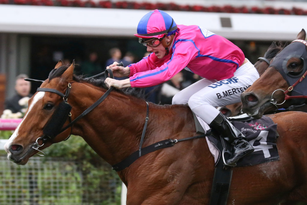 Highland Beat_08-07-2017_WIN_Flemington_5__622 | Just Horse Racing