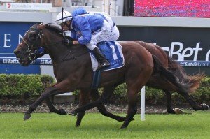Hijack Hussy - Glen Colless | Just Horse Racing Hijack Hussy - Glen Colless