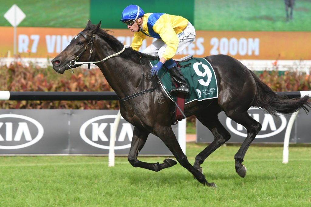 Hiyaam 310318 6906 | Just Horse Racing