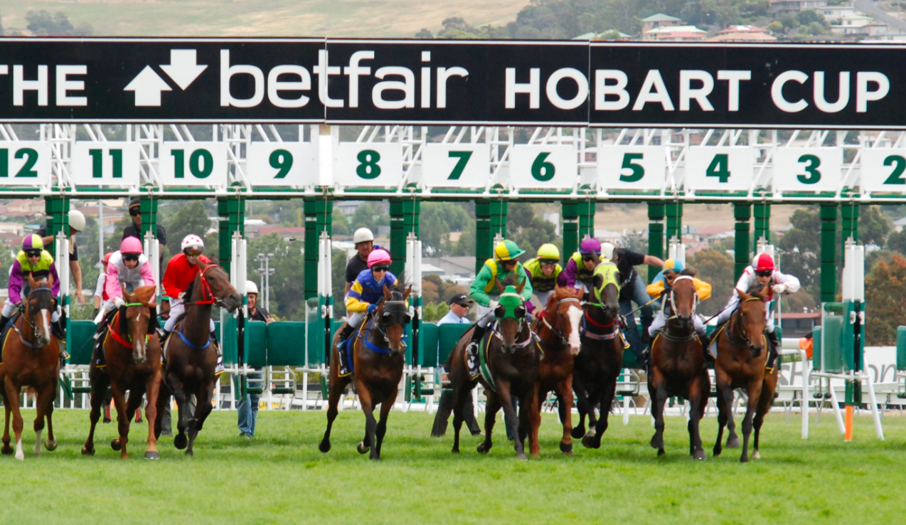 Tasmanian Guineas Field – 2022 - Vimarsana News