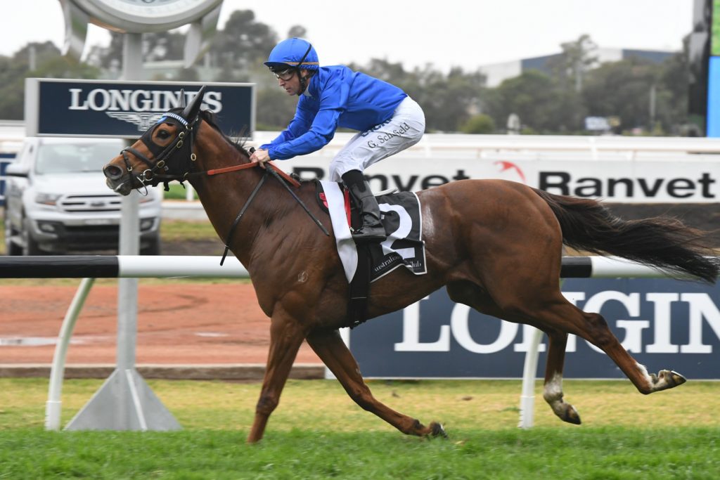 Home Of The Brave 080918 2135 | Just Horse Racing