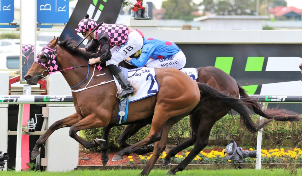 Hopfgarten (2) | Just Horse Racing