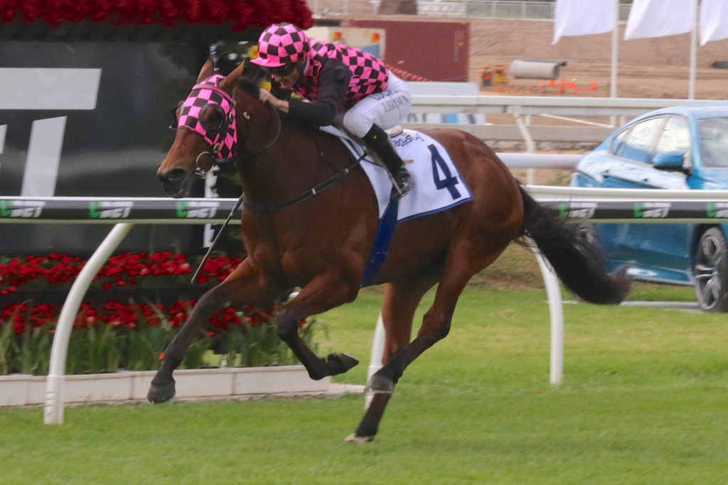 hopfgarten-damian-browne | Just Horse Racing