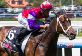 Hucklebuck winning the Gothic Stakes at Caulfield - photo by Race Horse Photos Australia