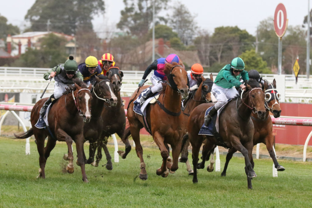 Humidor,Memsie Stakes,Group1_01-09-2018_WIN_Caulfield_7__1326 | Just Horse Racing