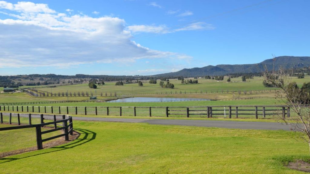 Hunter Valley | Just Horse Racing