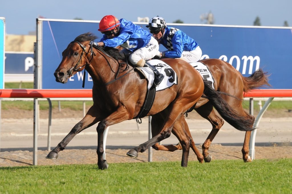 husson-eagle-090116-8274 | Just Horse Racing