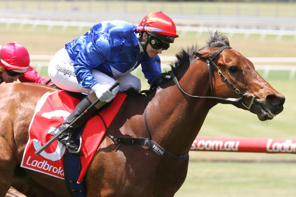 husson-eagledoveton-stakeslisted_12-11-2016_win_sandown_4__738 | Just Horse Racing