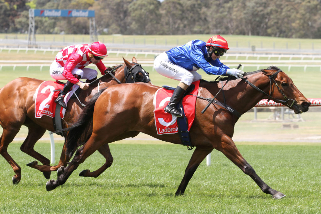 husson-eagledoveton-stakeslisted_12-11-2016_win_sandown_4__740 | Just Horse Racing
