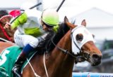 Hvasstan winning the Drummond Golf Handicap at Moonee Valley - photo by Race Horse Photos Australia