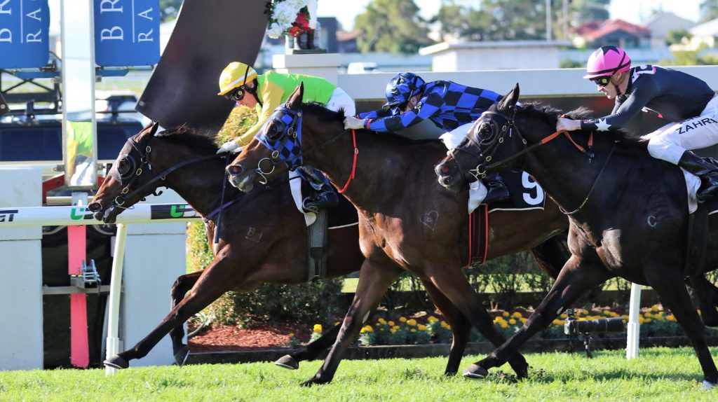 I'M A Rippa (1) | Just Horse Racing