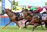 GRAFTON RACE 2 - PATRIOT