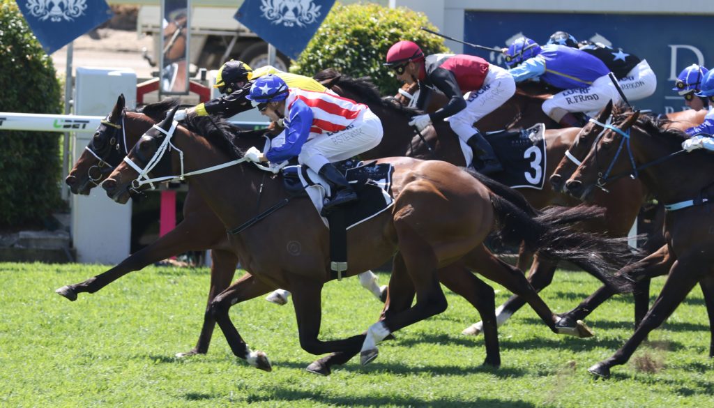 INGEEGOODBE - Ronnie Stewart2 | Just Horse Racing