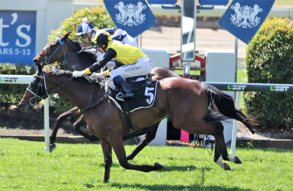 INGEEGOODBE - Ronnie Stewart3 | Just Horse Racing