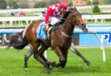 Iconic winning the Nine West Plate at Caulfield