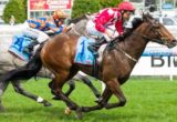 Iconic winning the Nine West Plate at Caulfield - photo by Race Horse Photos Australia