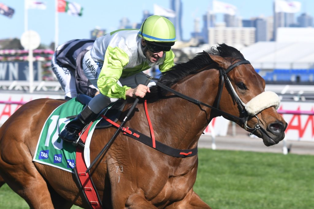 illustrious-lad-291016-1895 | Just Horse Racing