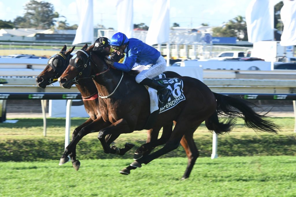 Impending 100617 2444 | Just Horse Racing