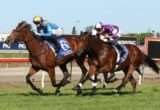 Imposing Lass - Queensland Oaks