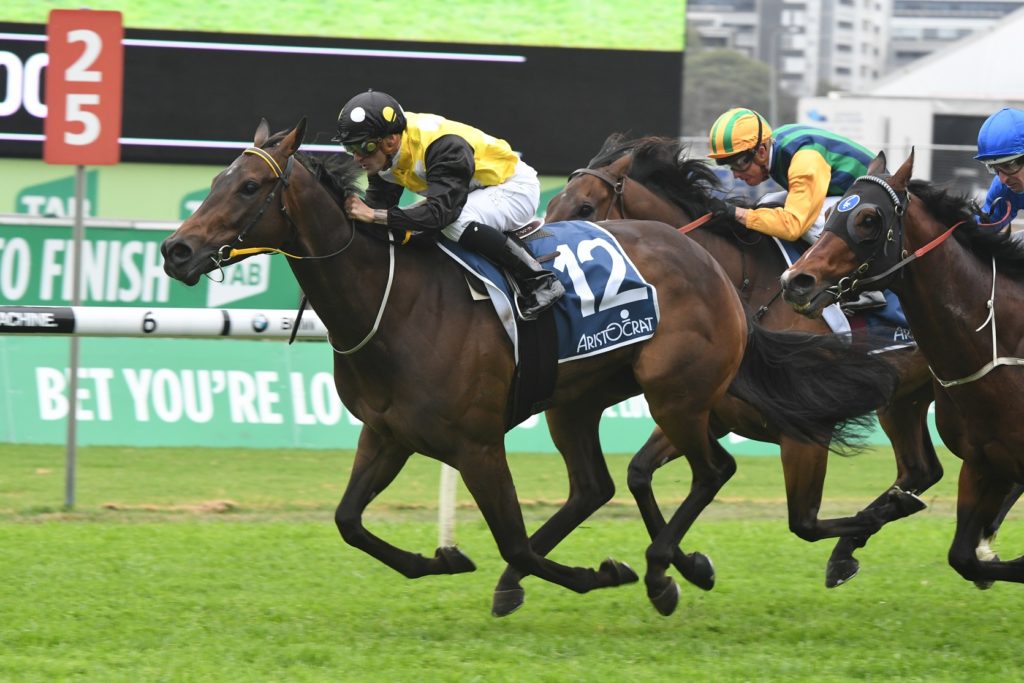 In Her Time 141017 2512 | Just Horse Racing