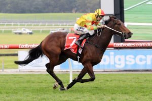 InspiredEstelle-20160604-9228 | Just Horse Racing Inspired Estelle