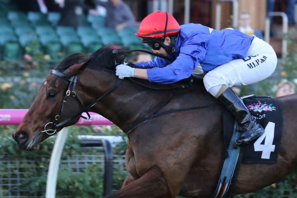 Invincible Al_10-06-2017_WIN_Flemington_8__1021 | Just Horse Racing