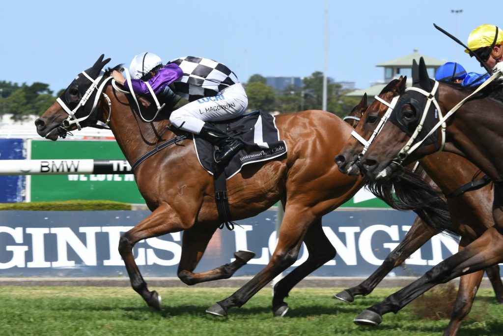 Invinzabeel 091217 7129 | Just Horse Racing