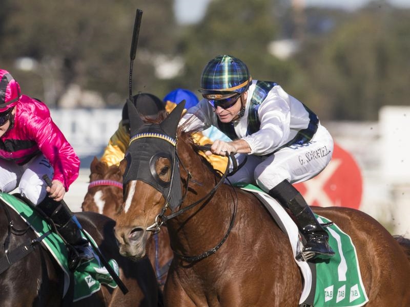Ipswich Waterhouse | Just Horse Racing