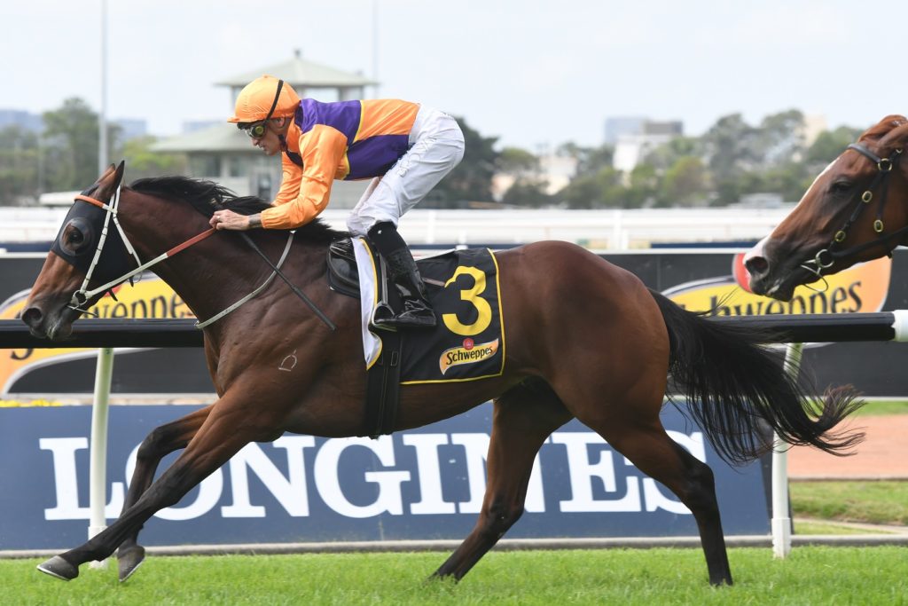 Irukandji 310318 5828 | Just Horse Racing