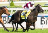 It Is Written winning the Spicer Thoroughbreds Testa Rossa Stakes at Caulfield - photo by Race Horse Photos Australia